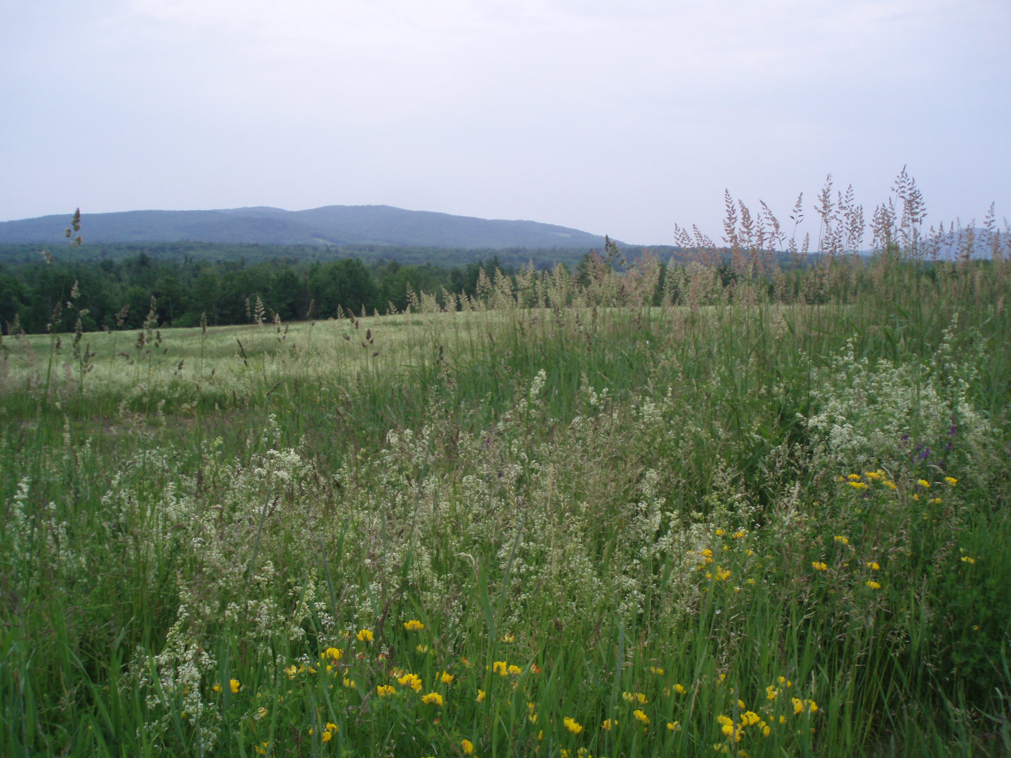 green fields in Maine during our 2007 Coast2CoastBikeRide