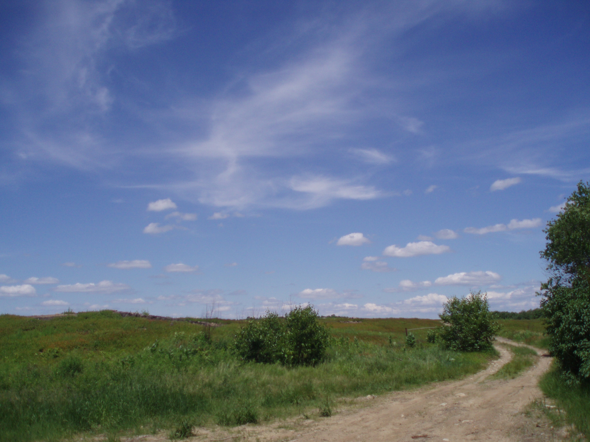 sunny sky and a smooth road during the 5th day of coast to coast bicycle tour