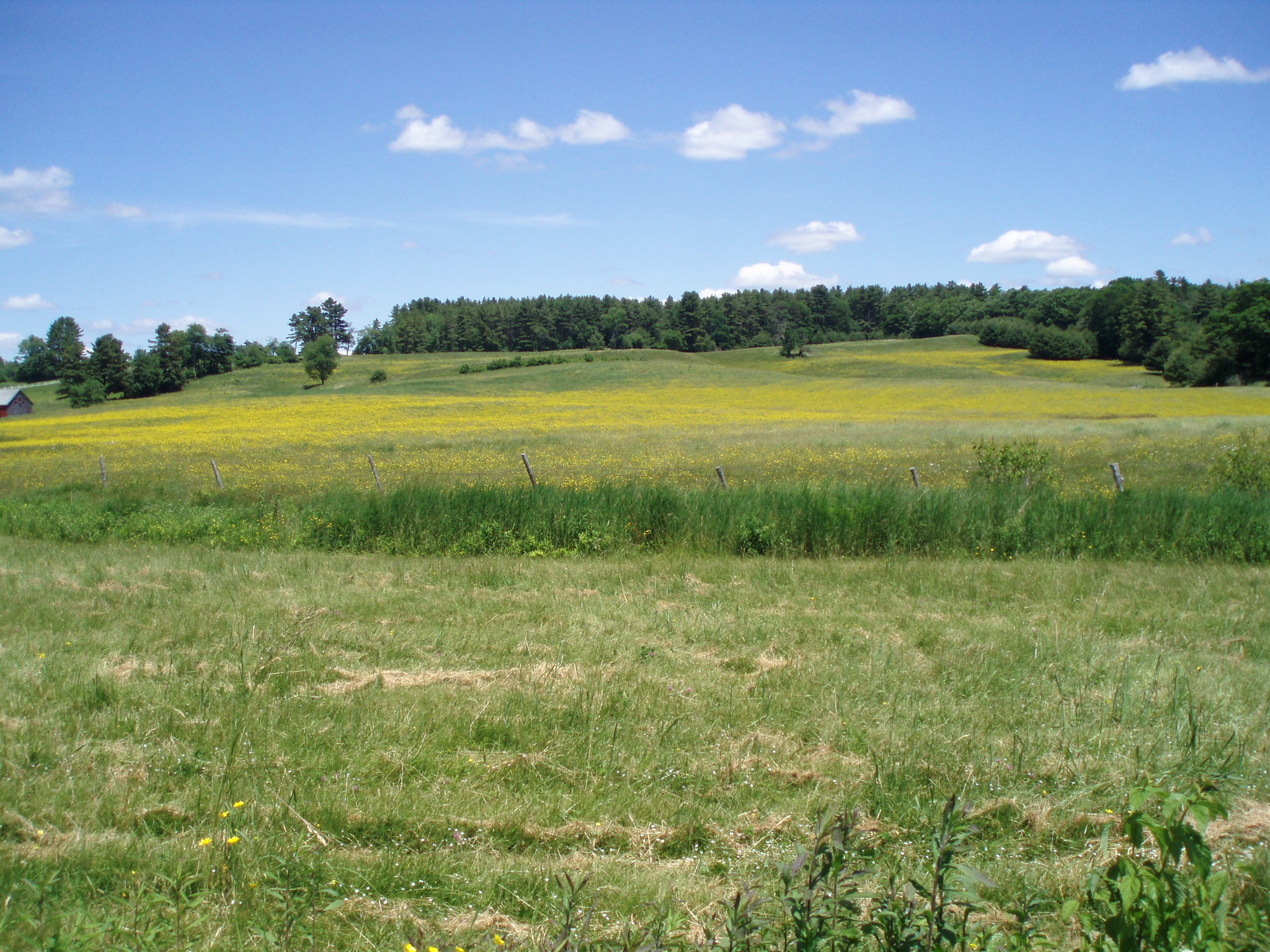 green field pictures taken during the 5th day of coast to coast bicycle tour