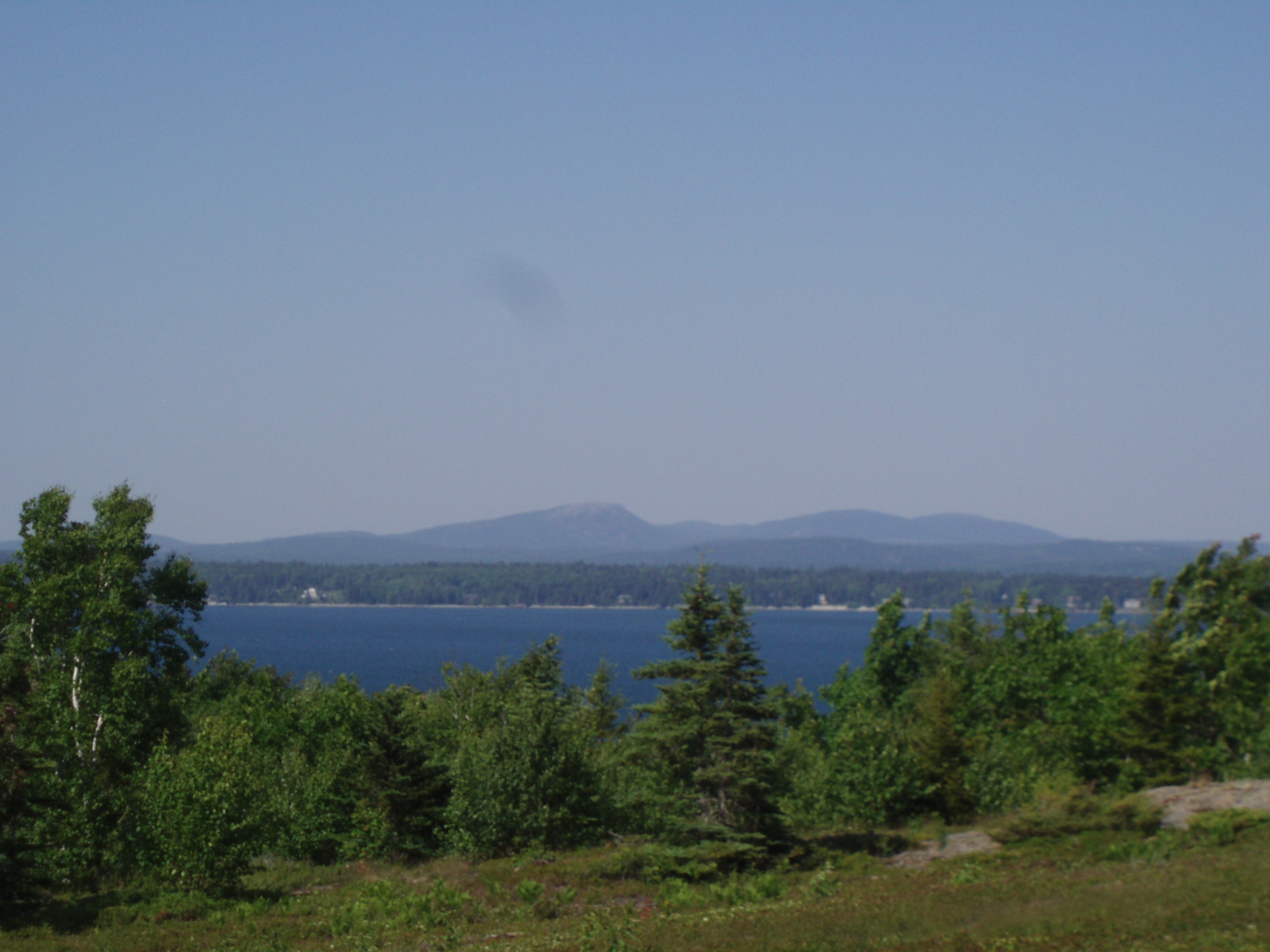 a view near the camp site 