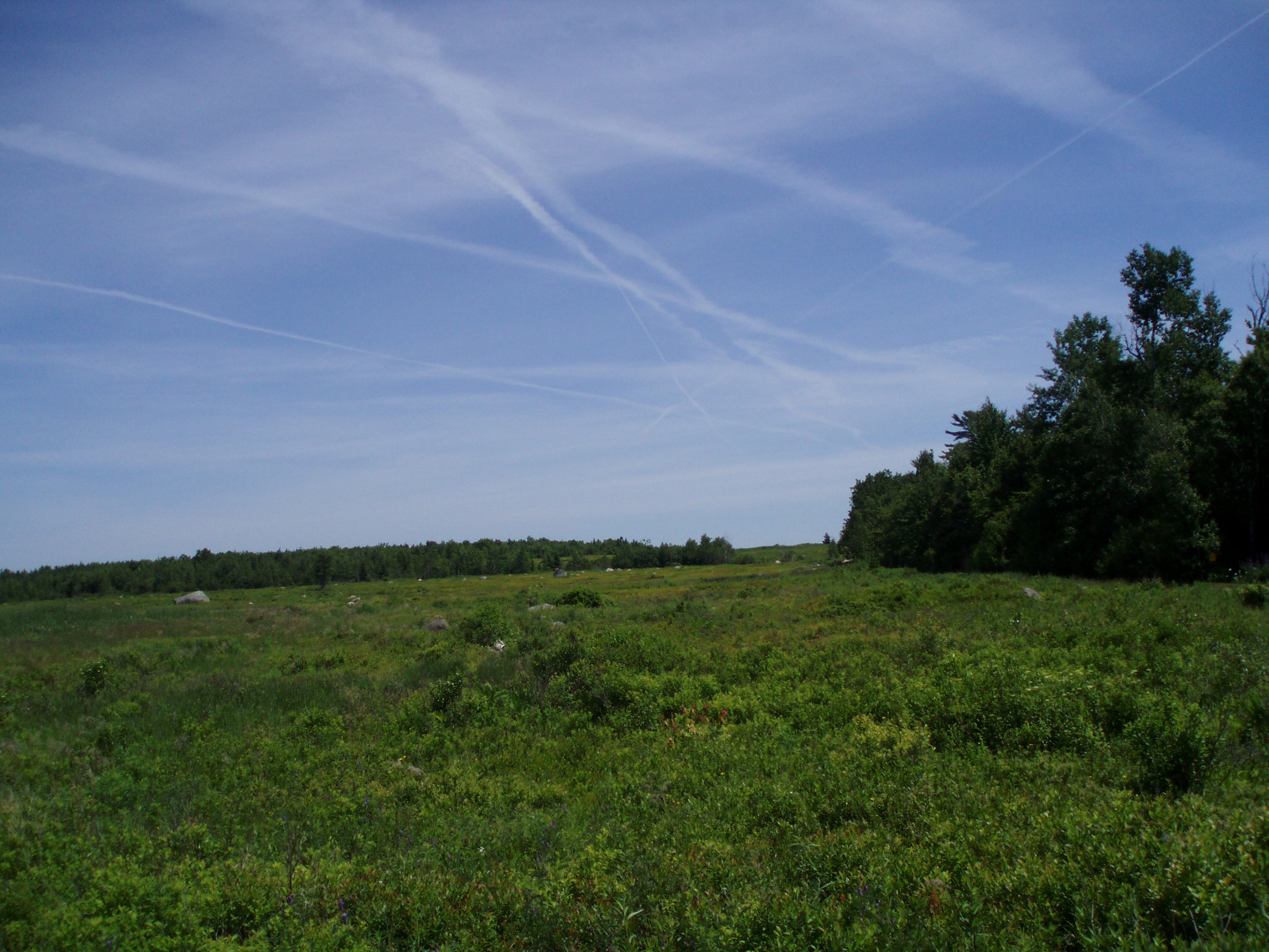 an open grassy field with taken during our long distance bike trip 