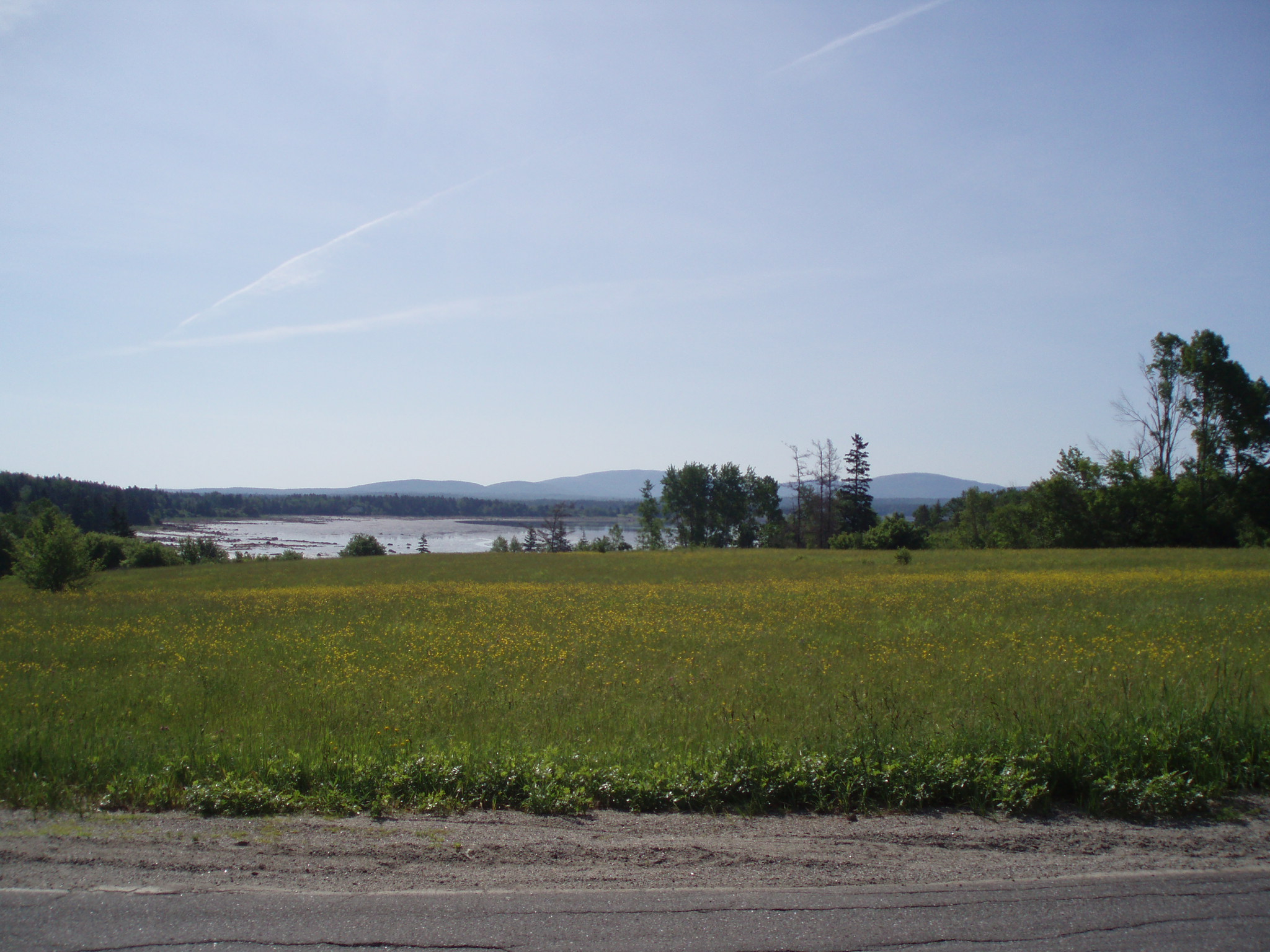 a picture of an open field taken during our long distance bike trip